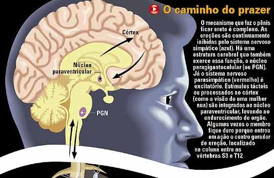 Caminho do prazer