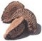 Castanha