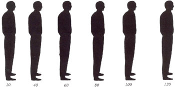 Silhueta progressiva