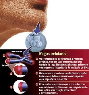 Stress e envelhecimento